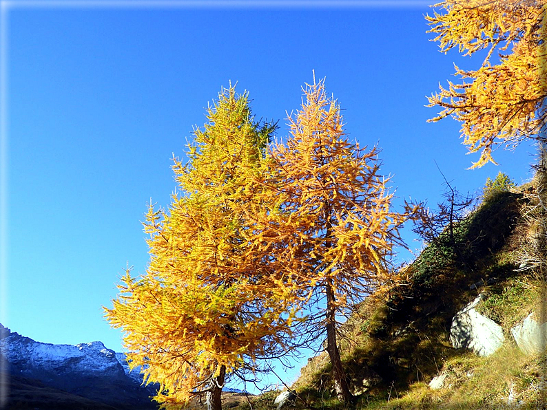 foto Lago Miserin